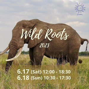 6月17日＆18日 南アフリカイベント 「Wild Roots 2023」